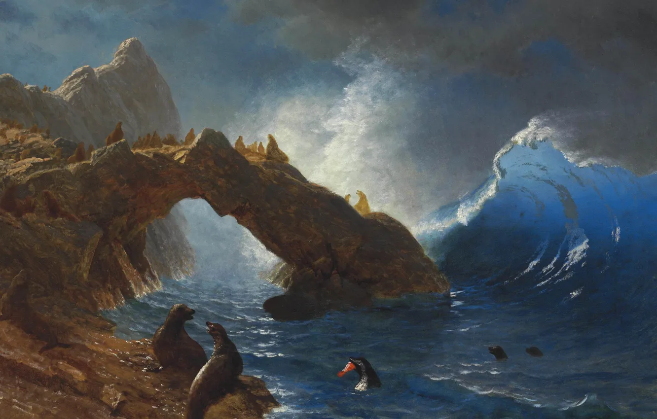 Photo wallpaper animals, picture, seascape, Albert Bierstadt, Seals on the Rocks