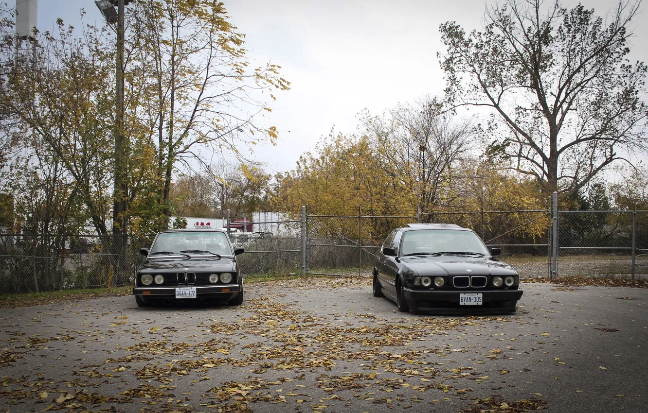 Photo wallpaper autumn, leaves, tuning, BMW, BMW, drives, classic, tuning