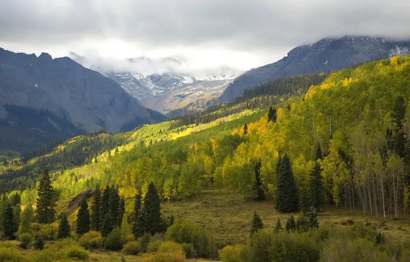 Photo wallpaper forest, clouds, mountains
