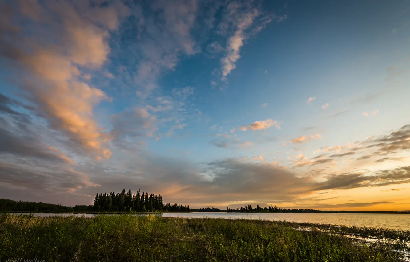 Photo wallpaper clouds, trees, Jeff Wallace