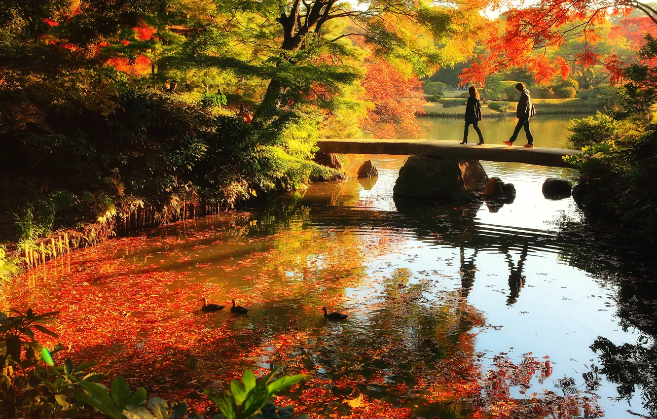 Photo wallpaper autumn, leaves, water, trees, landscape, reflection, people, the bridge