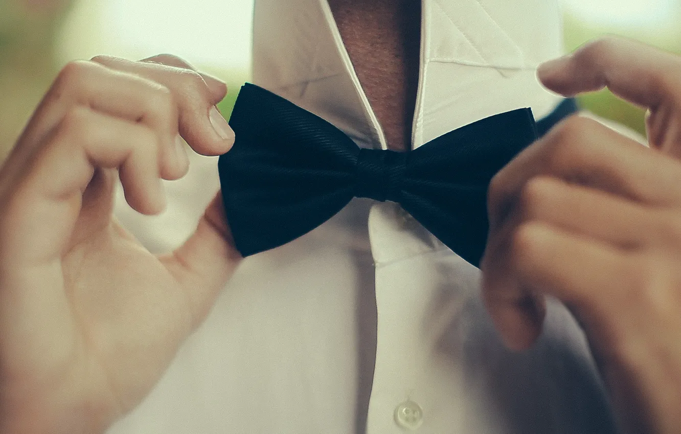 Photo wallpaper butterfly, gate, photographer, shirt, photography, photographer, chemise, David Olkarny