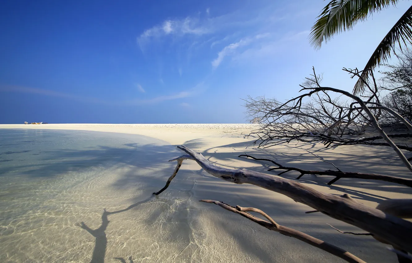 Photo wallpaper sand, beach, branches, the ocean, shore, island, The Maldives, Maldives