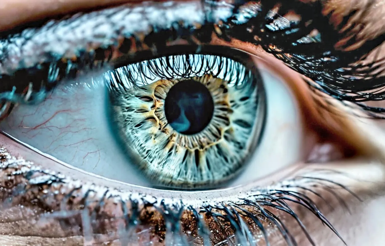 Photo wallpaper eyes, the all-seeing eye, beautiful Wallpapers for desktop