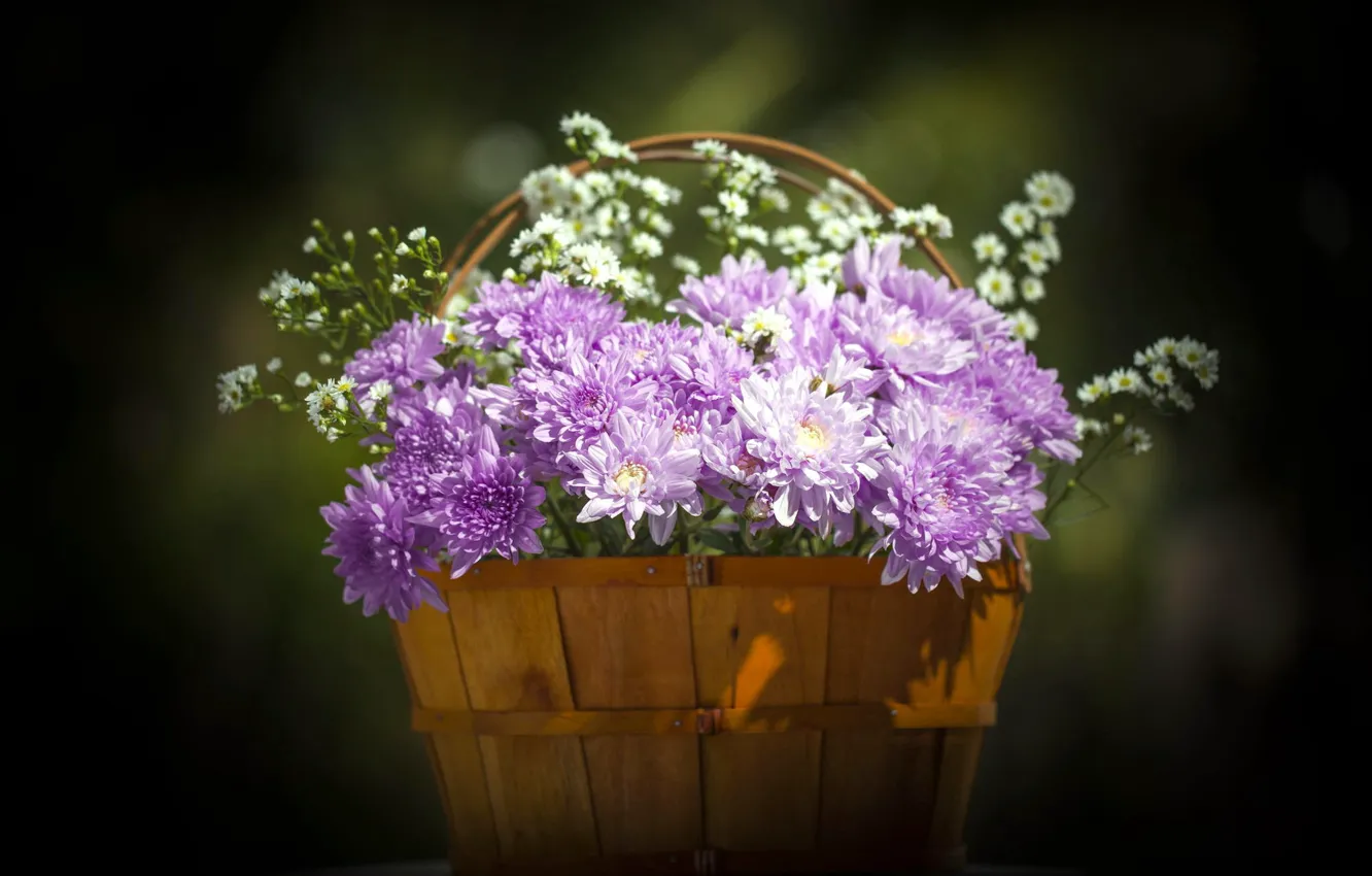 Photo wallpaper background, bouquet, chrysanthemum