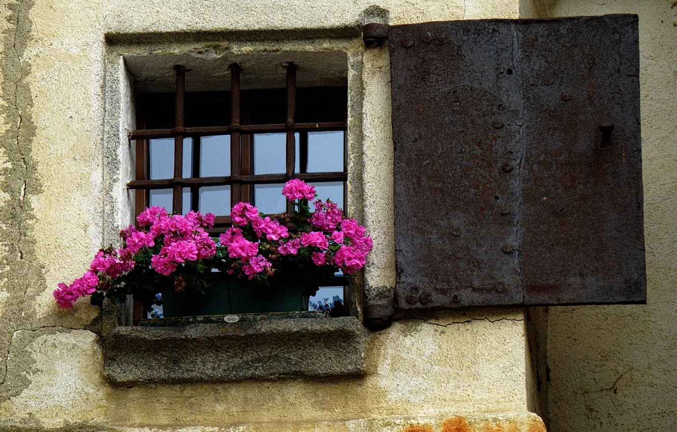 Photo wallpaper flowers, Window, Italy, pots, Italy, flowers, Italia, finestra