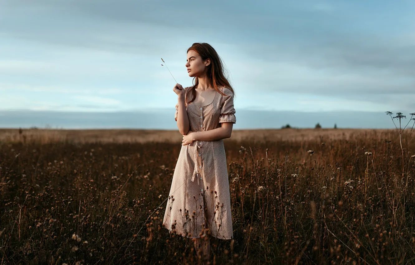 Photo wallpaper girl, dress, a blade of grass, in the field, Juliana Naidenova
