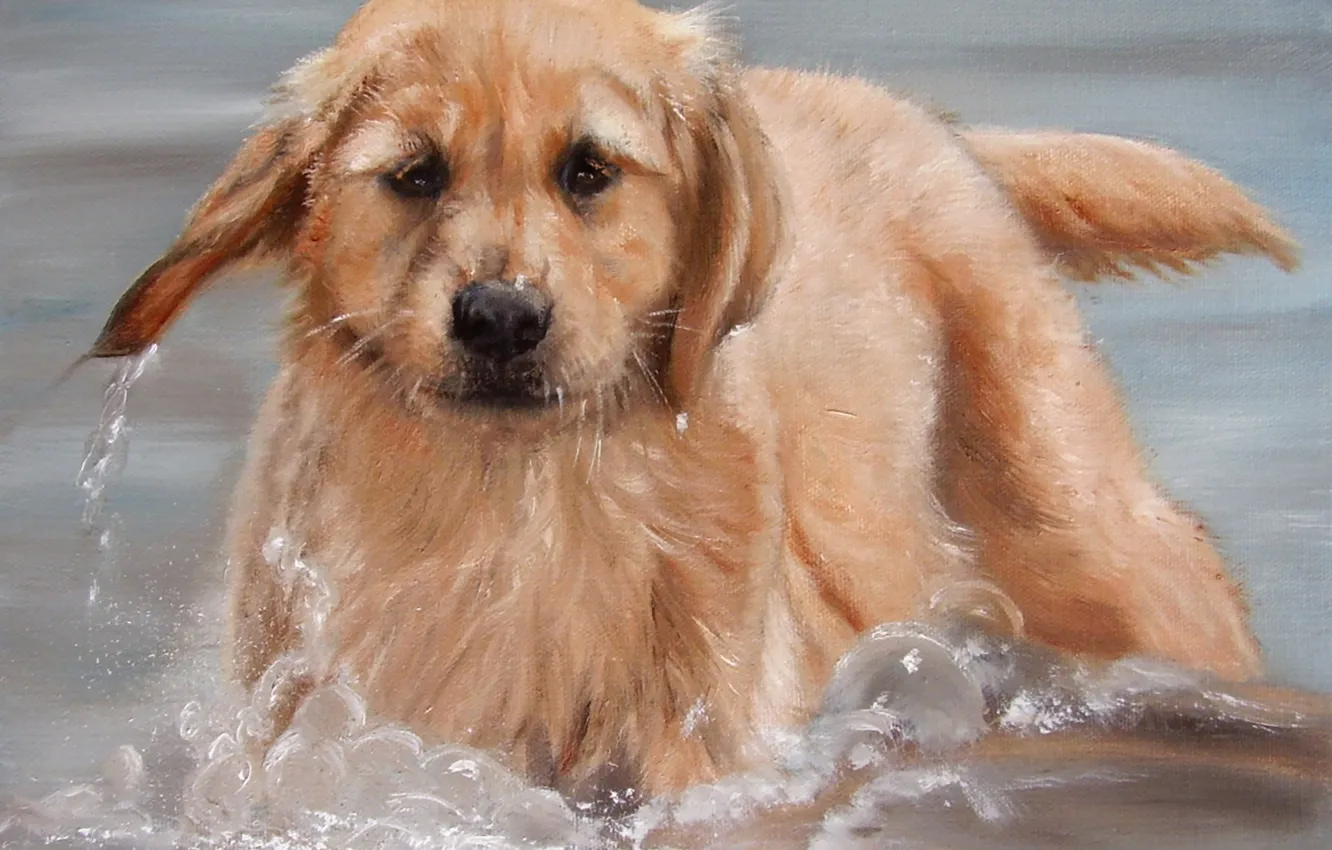 Photo wallpaper look, pose, oil, portrait, dog, painting, face, canvas