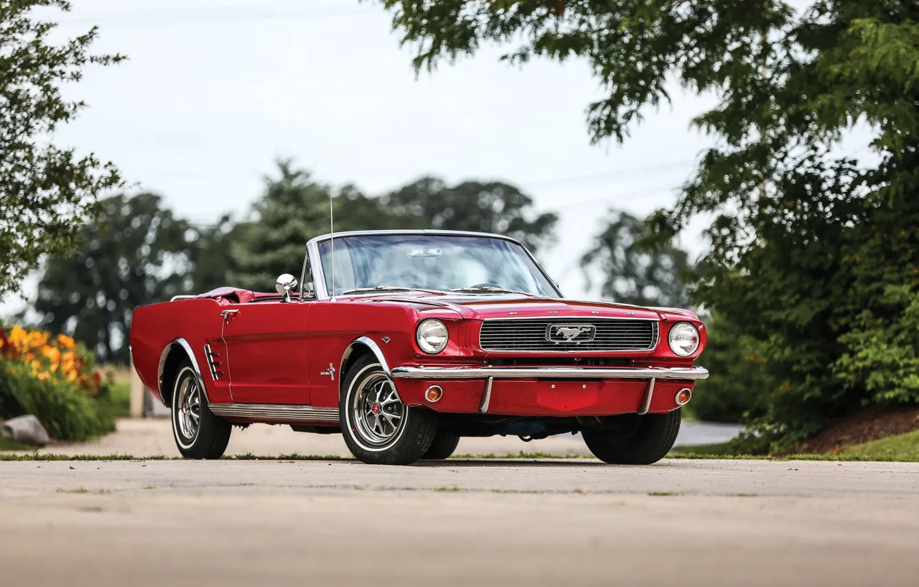 Photo wallpaper Mustang, Ford, Mustang, Ford, 1966