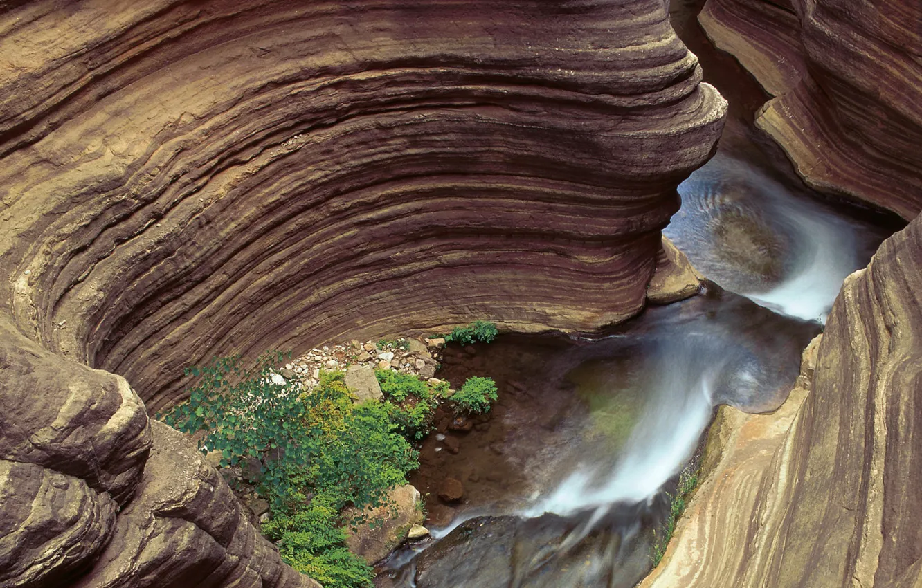 Photo wallpaper river, canyon, AZ