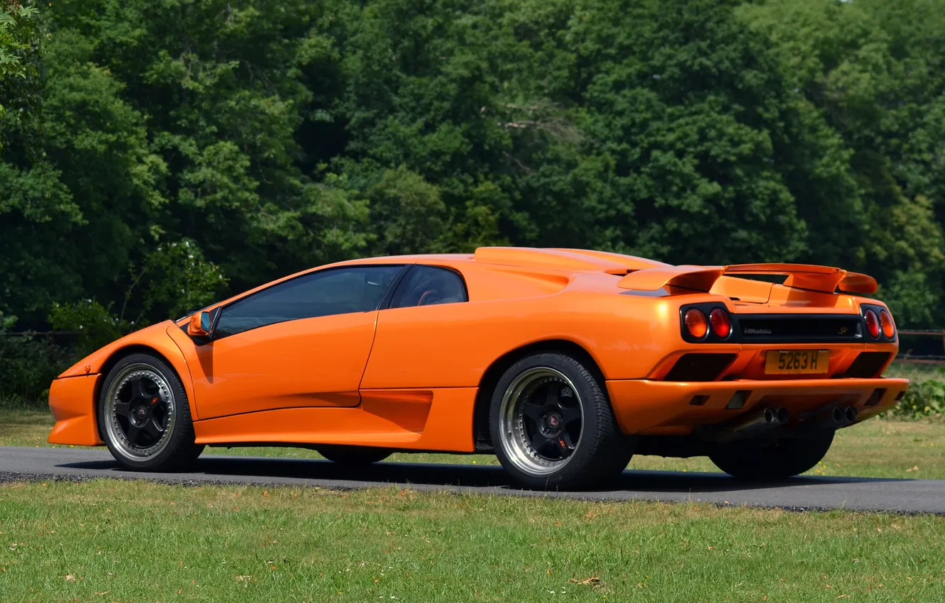 Photo wallpaper trees, Lamborghini, rear view, diablo, Diablo