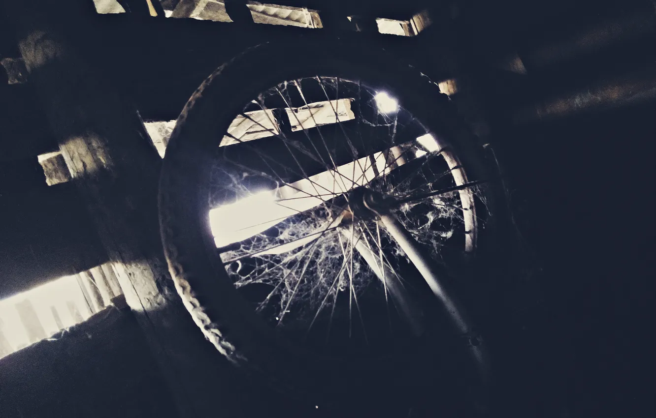 Photo wallpaper cold, web, wheel, twilight