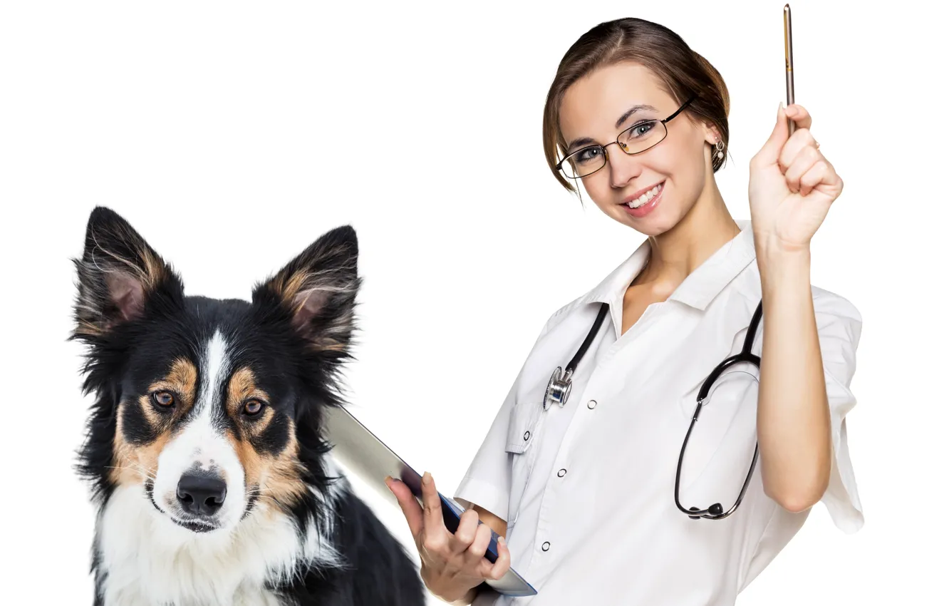Photo wallpaper girl, smile, dog, makeup, hairstyle, the vet, Dr., white background