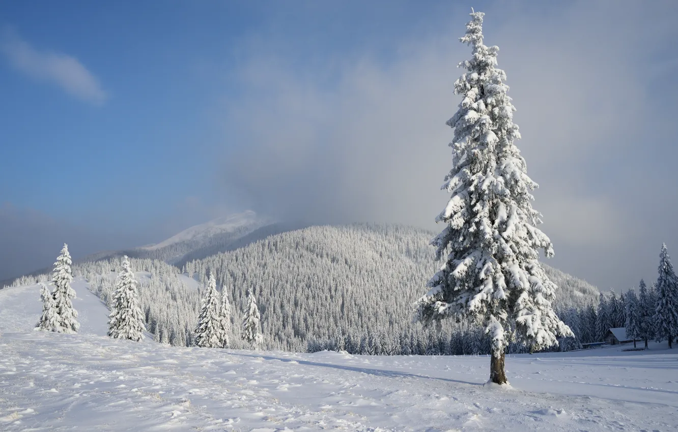 Photo wallpaper winter, the sun, clouds, rays, snow, mountains, fog, tops