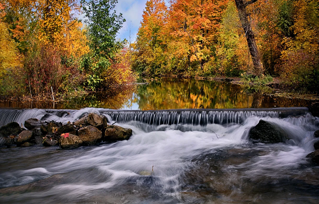 Photo wallpaper forest, river, Canada, Ontario, thresholds