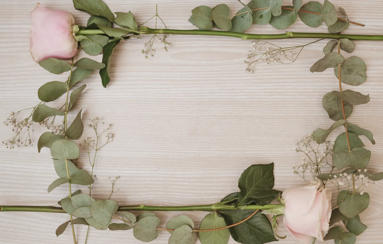 Photo wallpaper flowers, roses, frame, pink, flowers, roses, frame