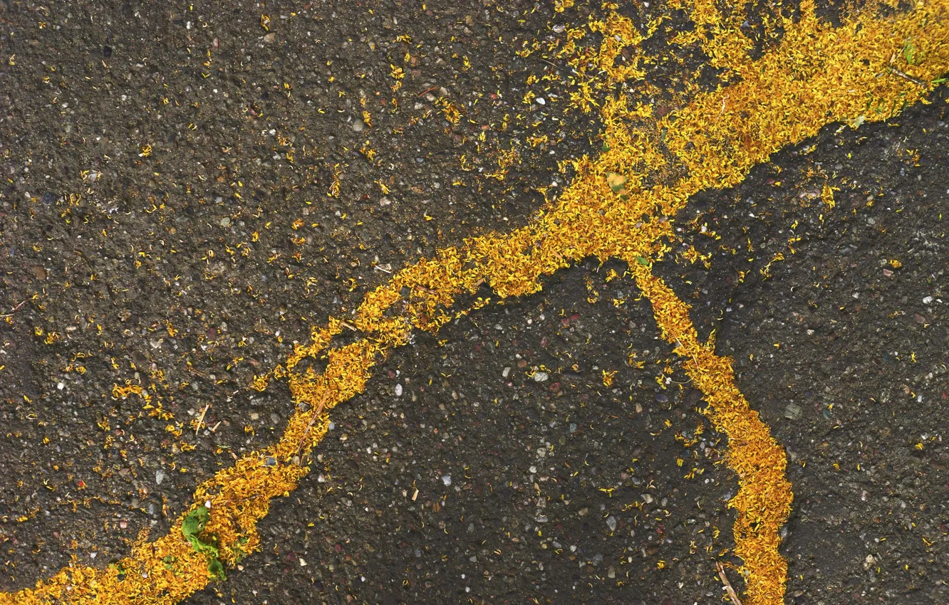 Photo wallpaper asphalt, surface, background