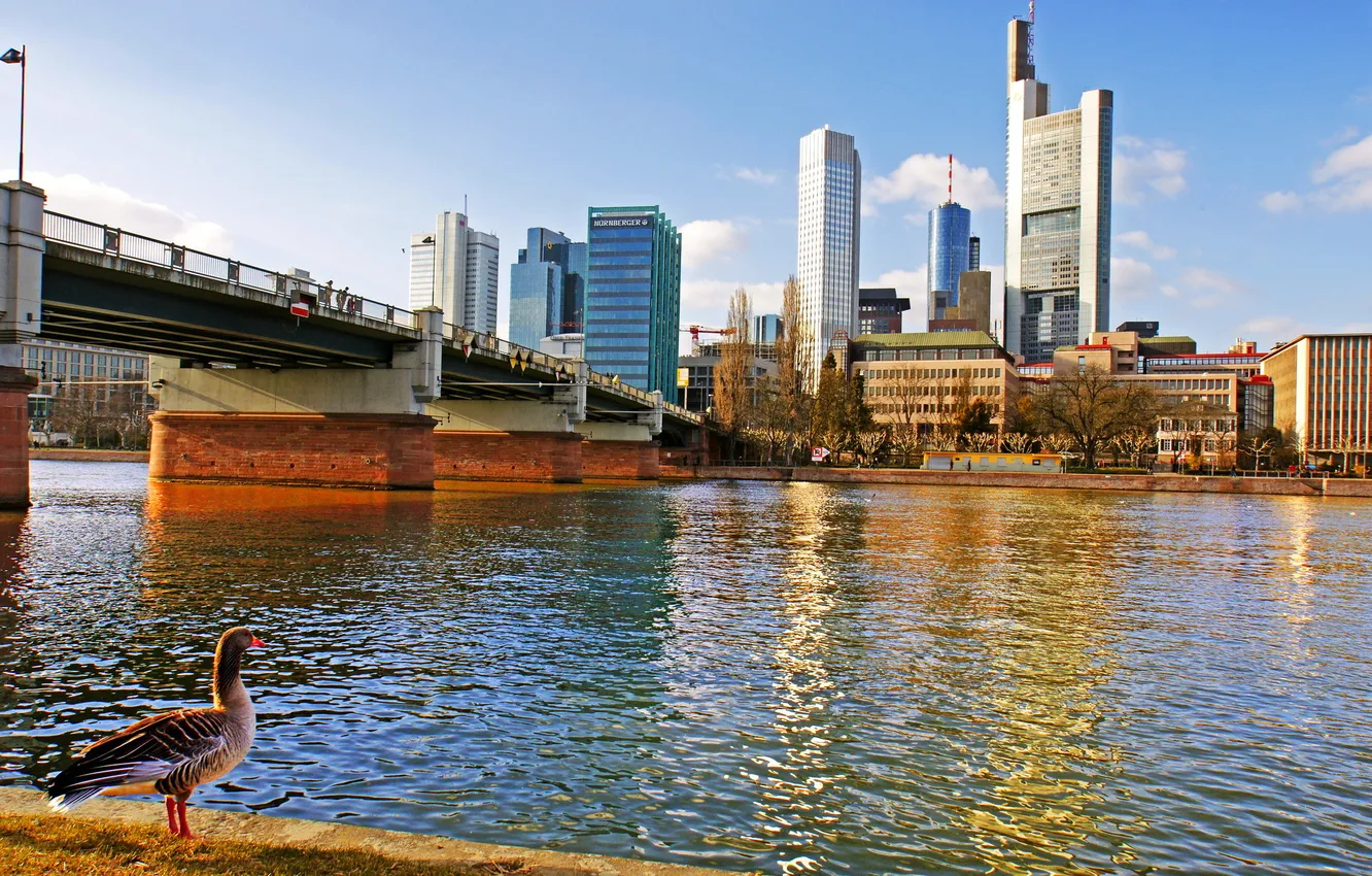 Photo wallpaper bridge, the city, river, photo, home, Germany, Frankfurt am main