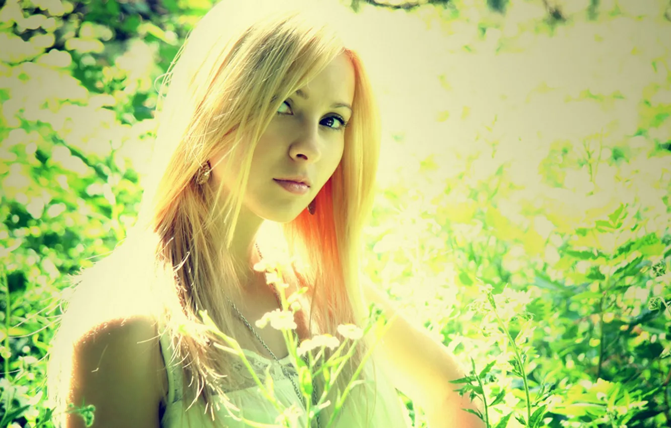 Photo wallpaper girl, the sun, light, flowers, nature, blonde
