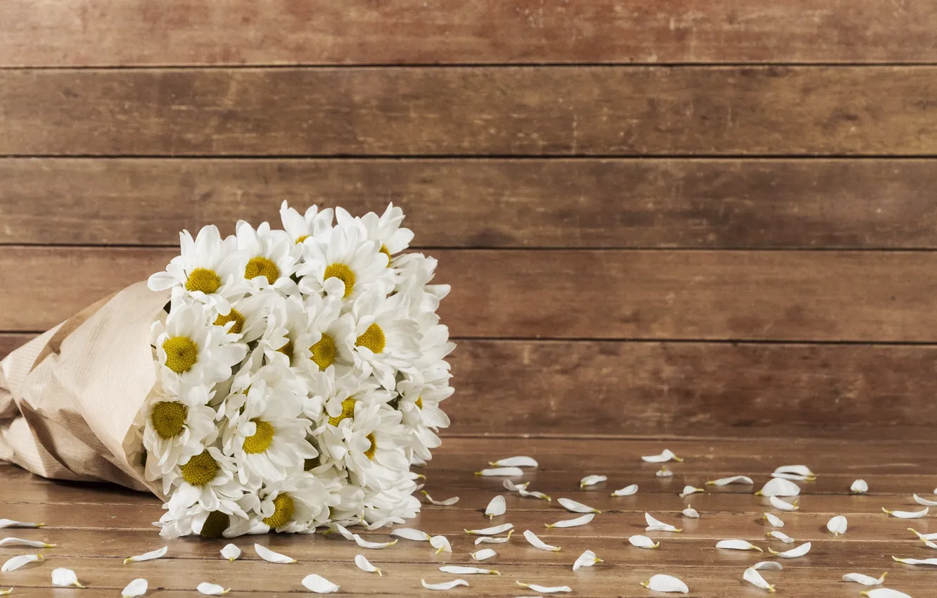 Photo wallpaper flowers, bouquet, petals, chrysanthemum