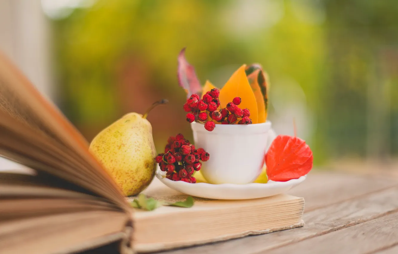 Photo wallpaper autumn, leaves, berries, Cup, red, book, pear, leaves