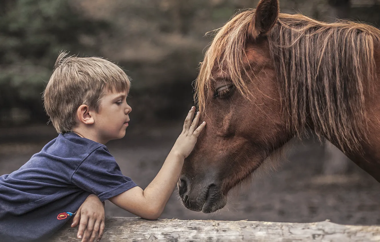 Photo wallpaper mood, horse, boy