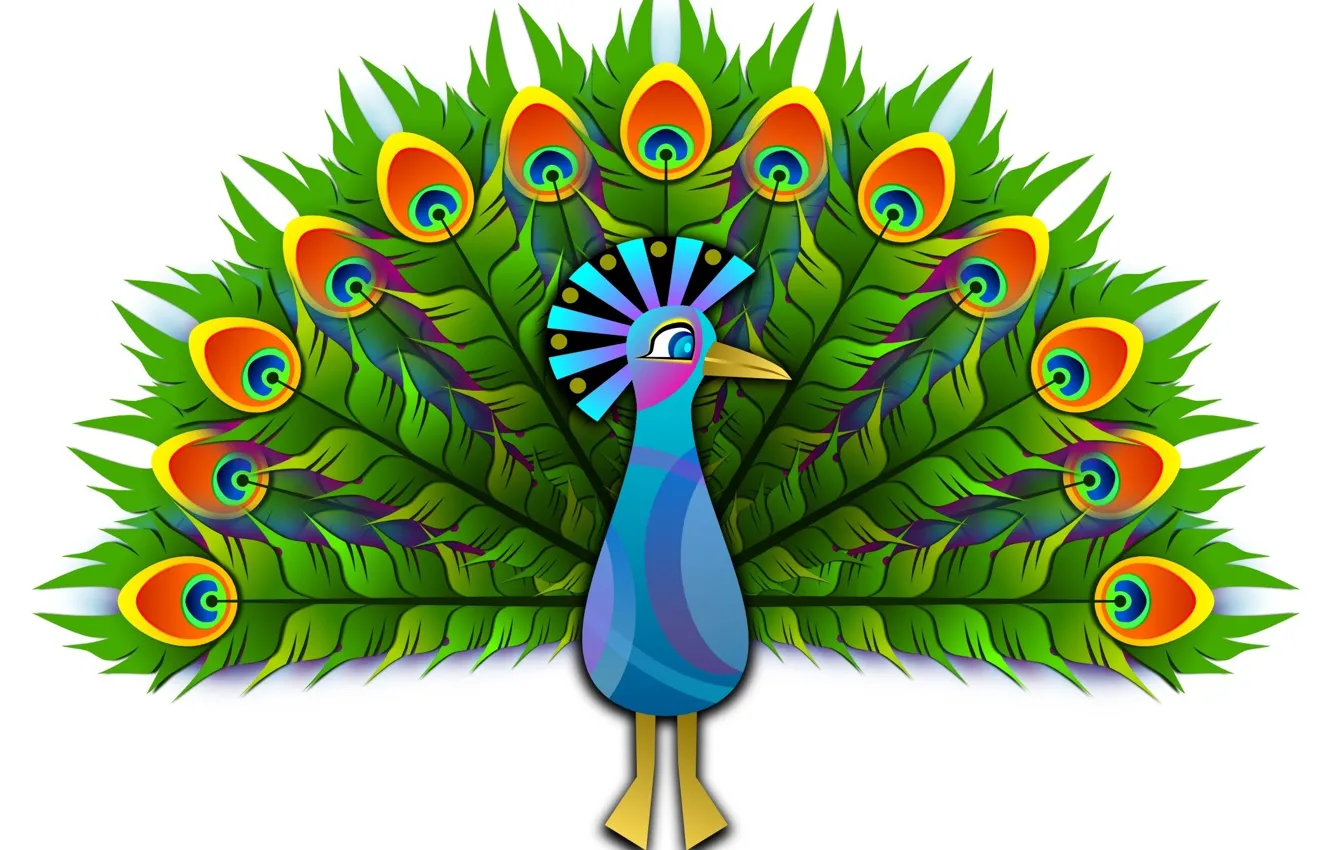 Photo wallpaper background, feathers, tail, peacock, vector graphics