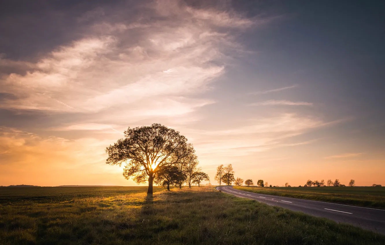 Photo wallpaper road, field, trees, sunset