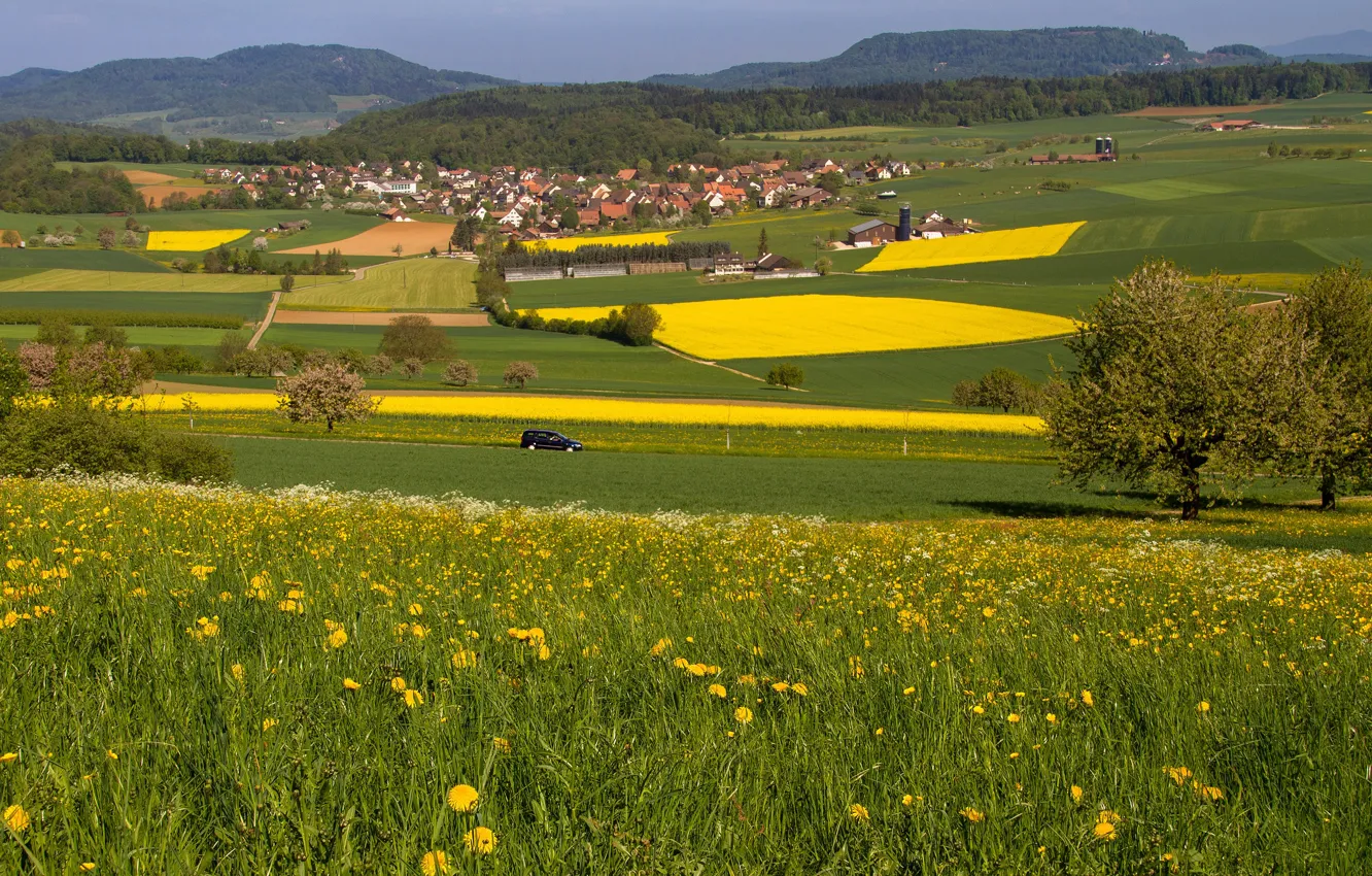 Photo wallpaper road, field, machine, summer, trees, flowers, mountains, green