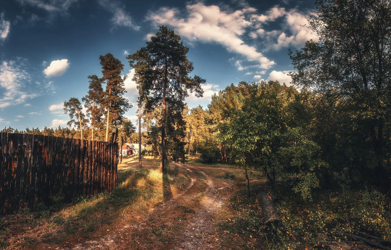 Photo wallpaper road, summer, trees, landscape, nature, the fence, home, village