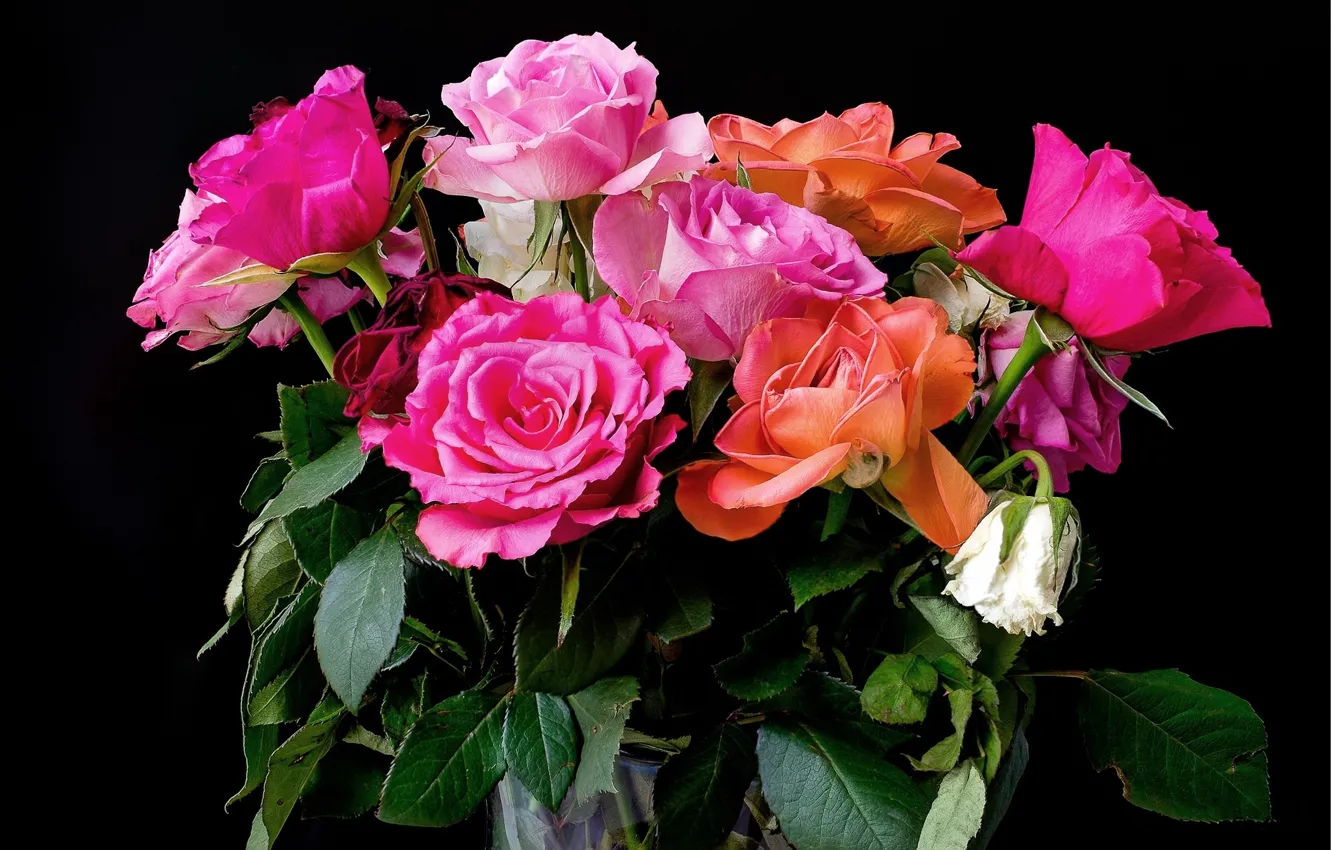Photo wallpaper background, roses, bouquet, colorful, pink, beautiful, Roses, background