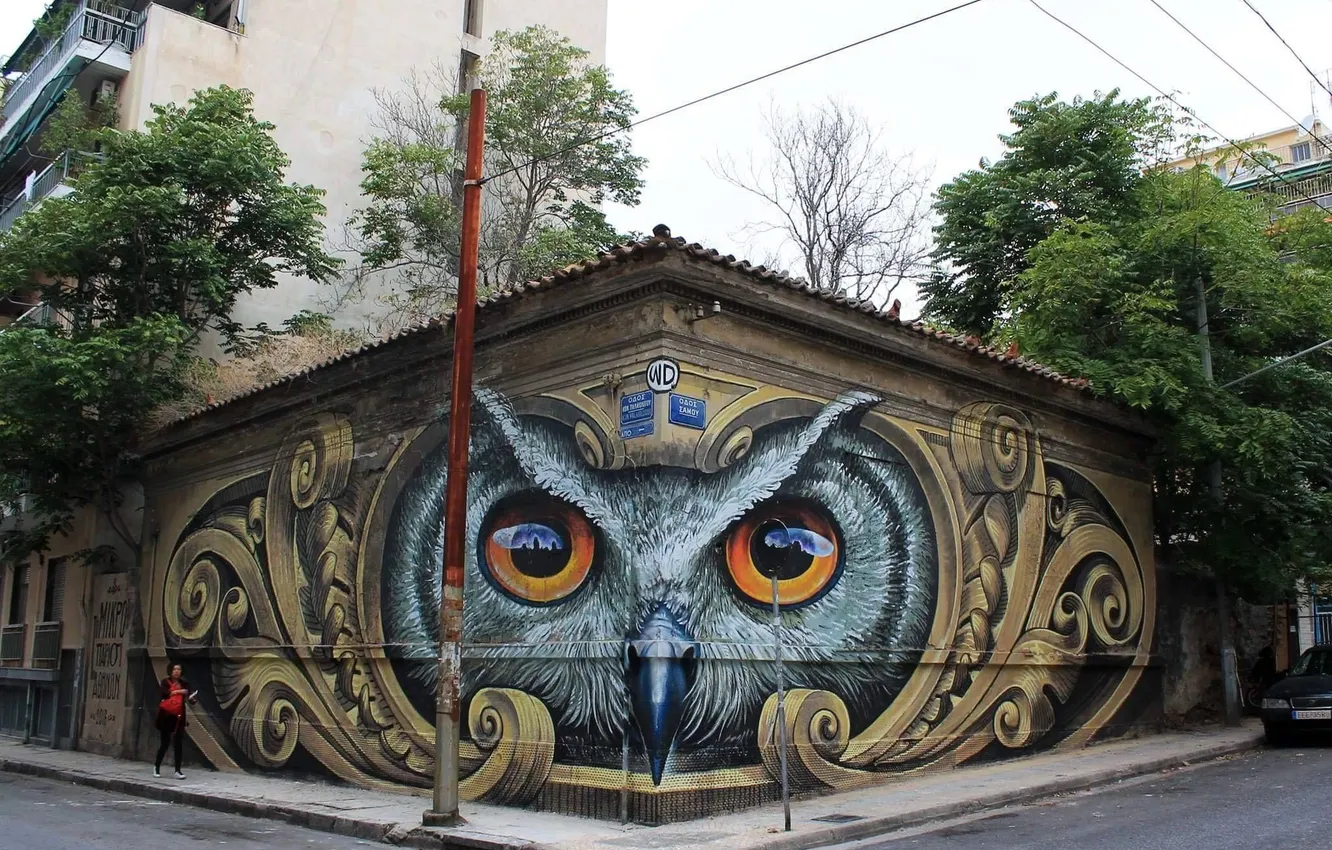 Photo wallpaper eyes, city, the city, owl, bird, street, building, bird