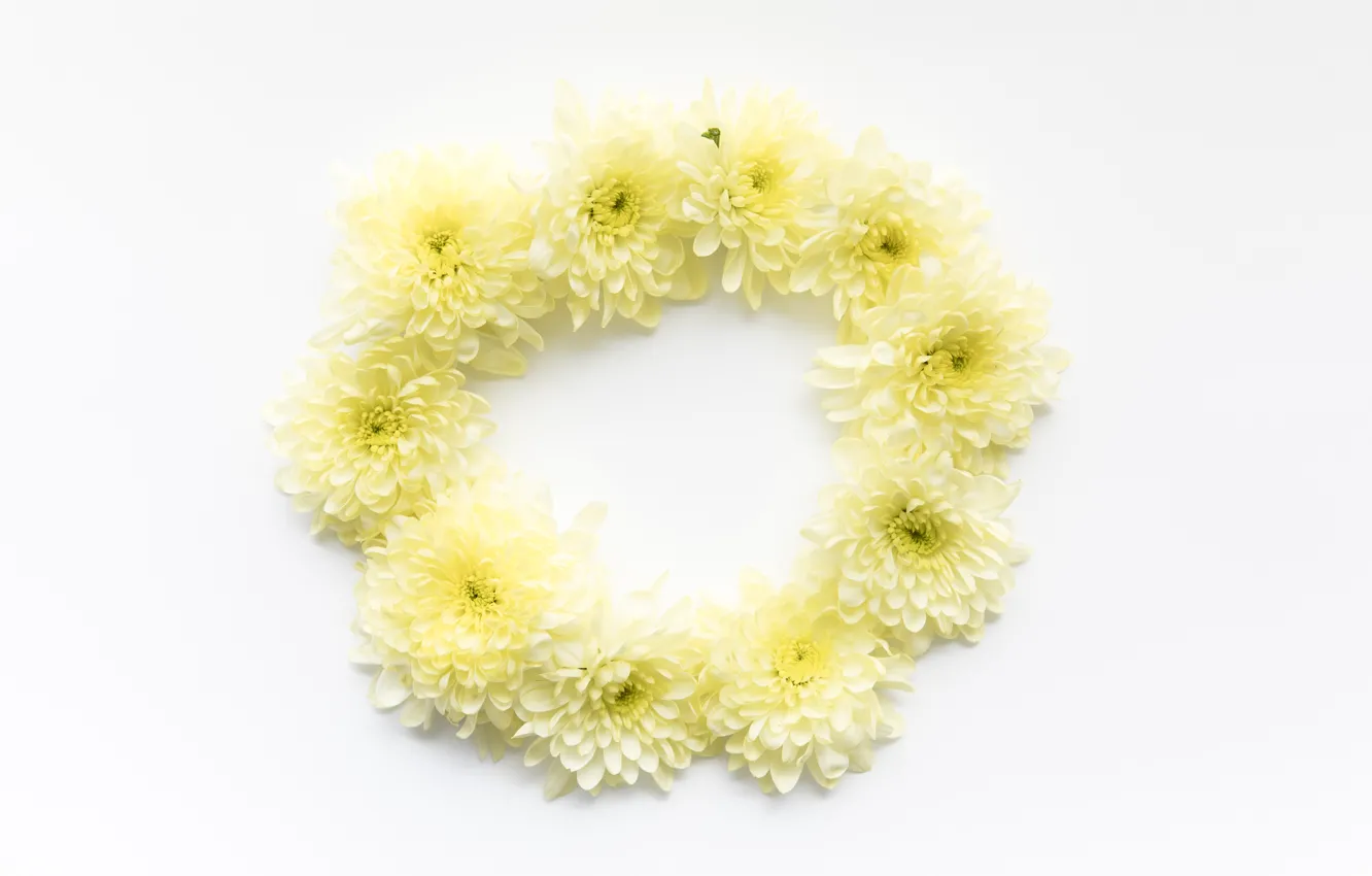 Photo wallpaper circles, flowers, yellow, yellow, from, daisies, decor, circle