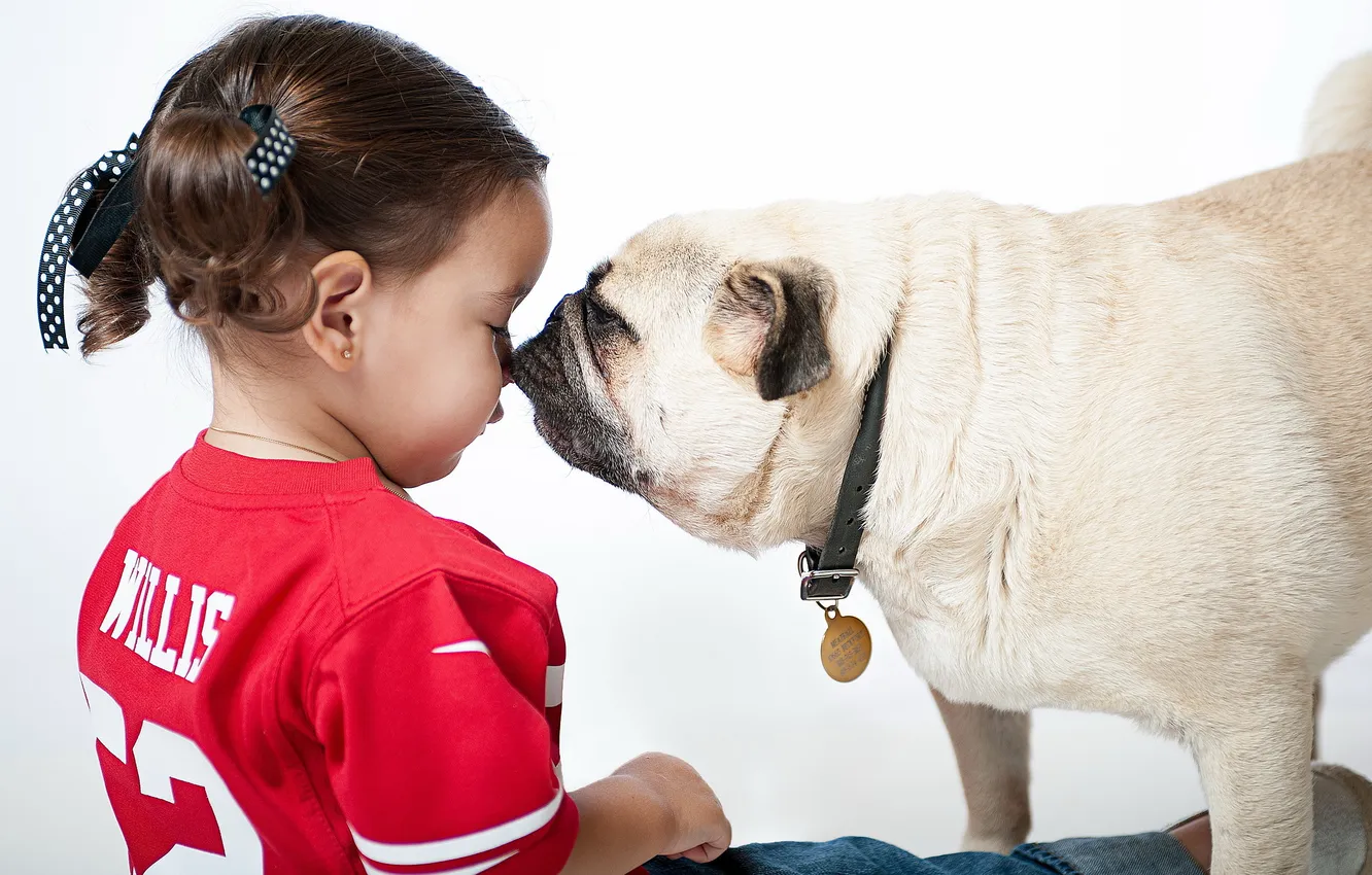 Photo wallpaper mood, girl, pug
