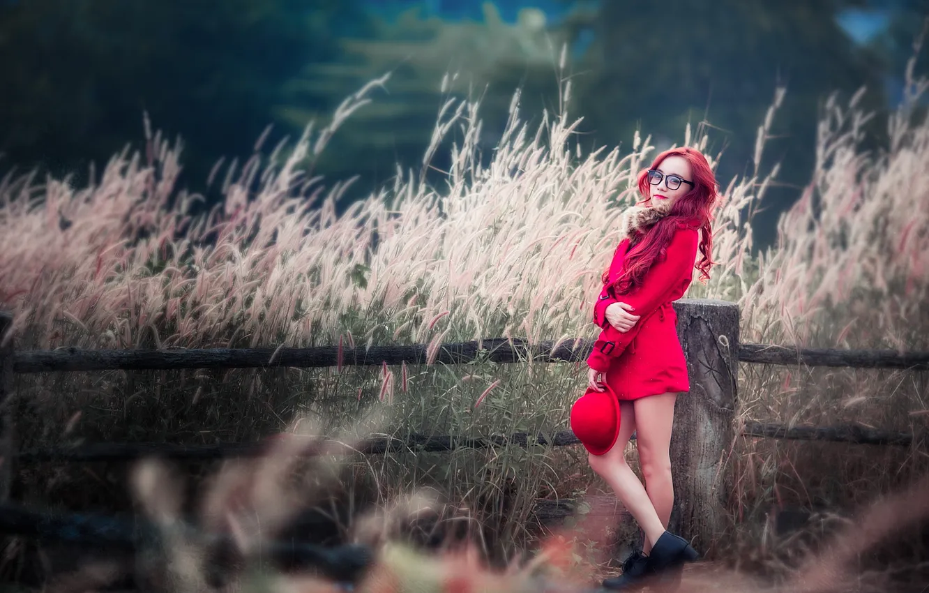 Photo wallpaper look, girl, Asian