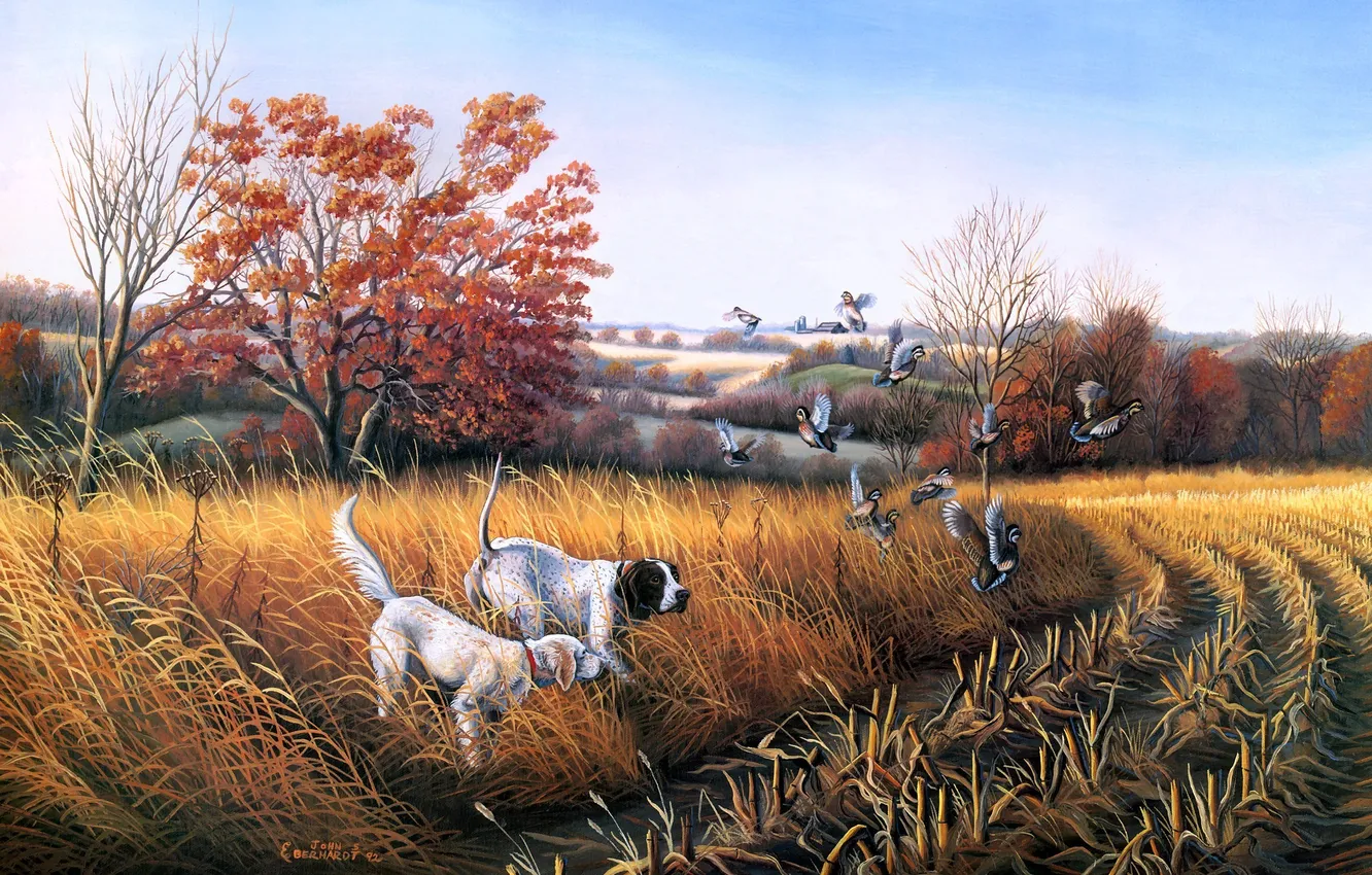 Photo wallpaper field, autumn, duck, dog, painting, Bird Dog Country, John S. Eberhardt, dog for hunting birds