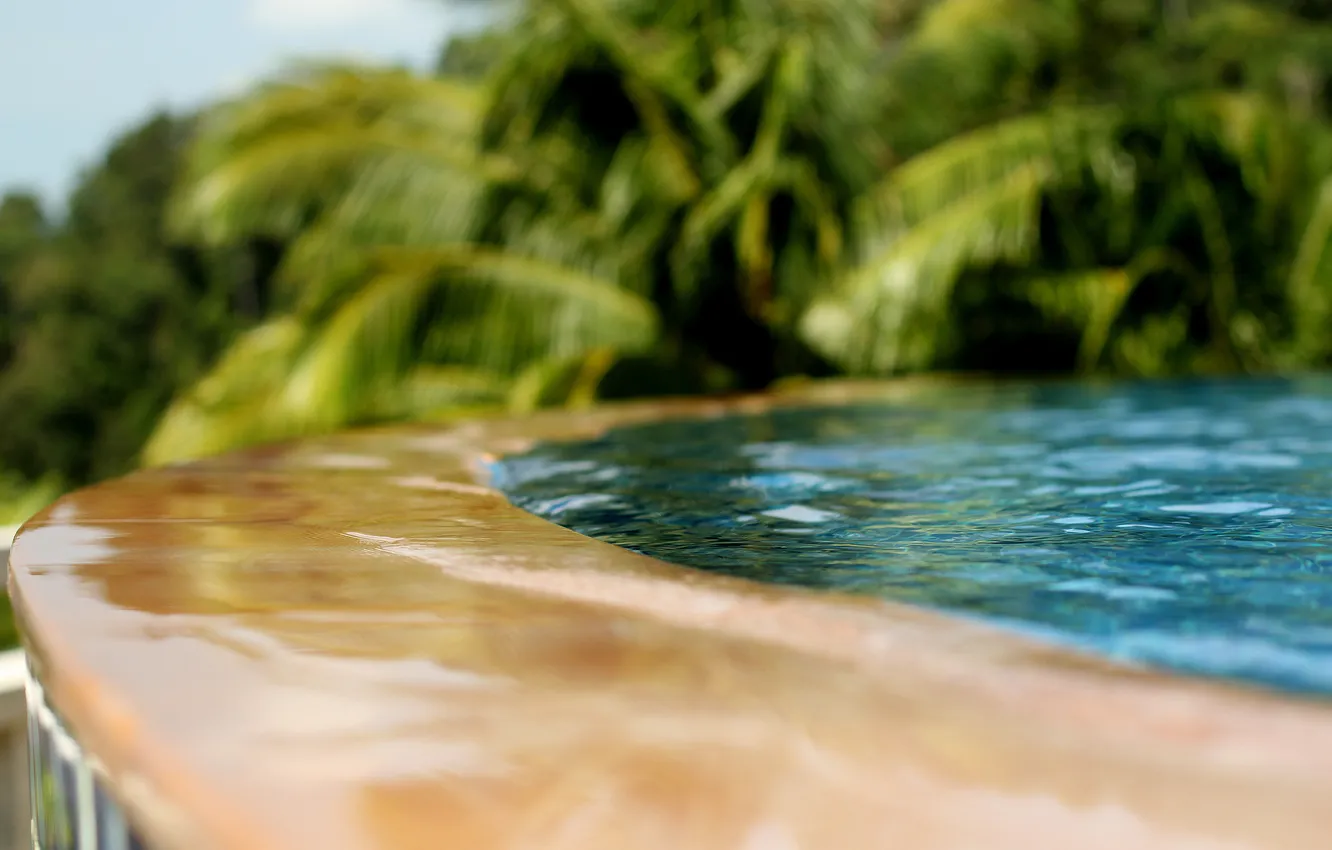 Photo wallpaper water, palm trees, fountain