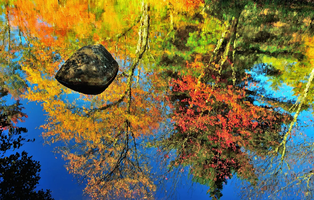 Photo wallpaper autumn, reflection, stone, pond