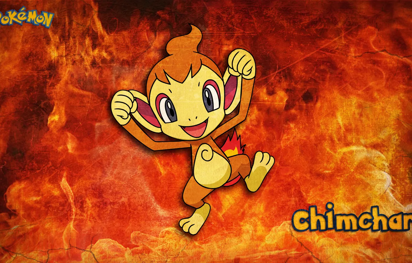 Photo wallpaper fire, anime, monkey, pokemon, chimchar