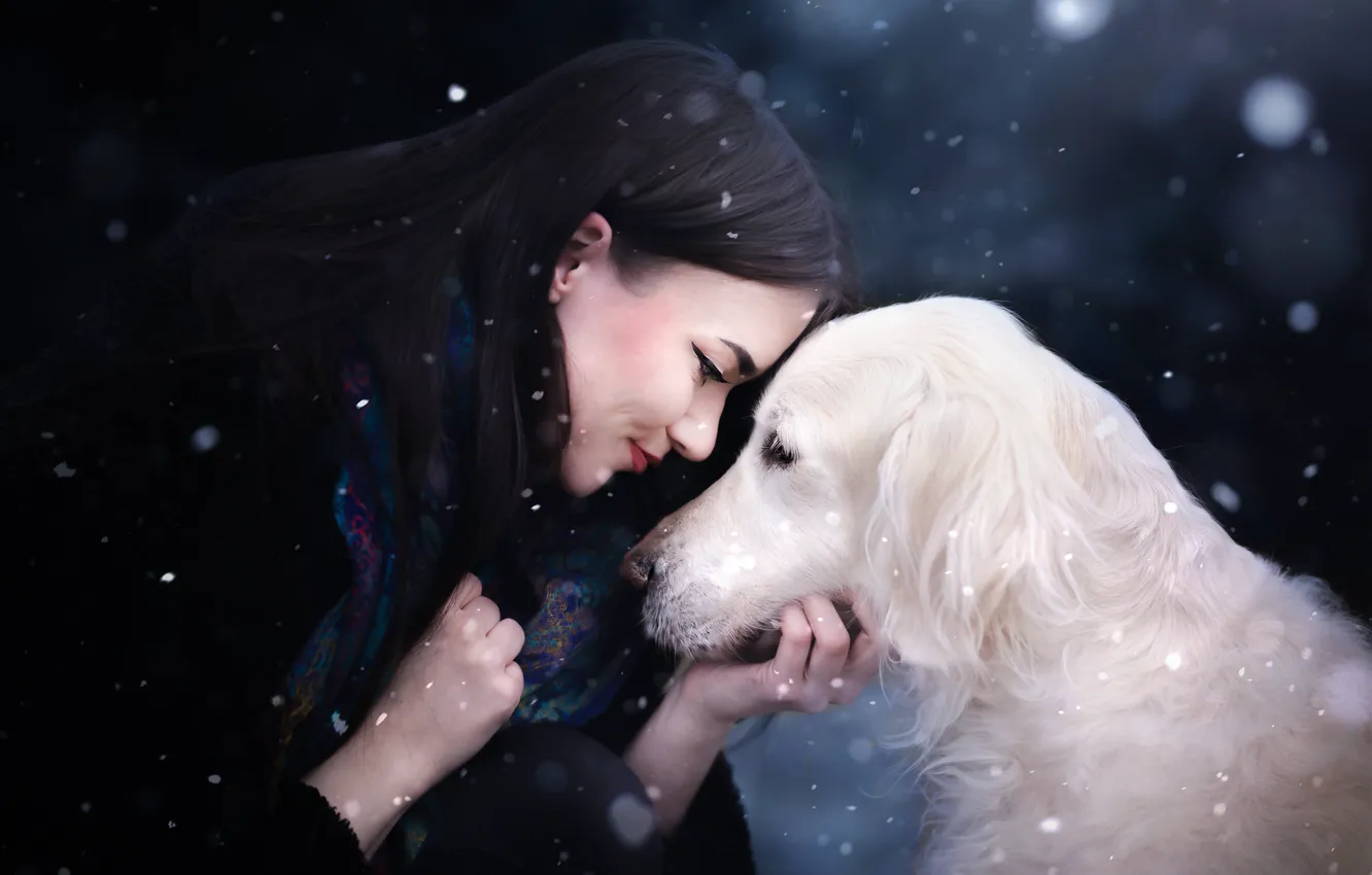 Photo wallpaper girl, snow, face, each, dog, Golden Retriever, Golden Retriever
