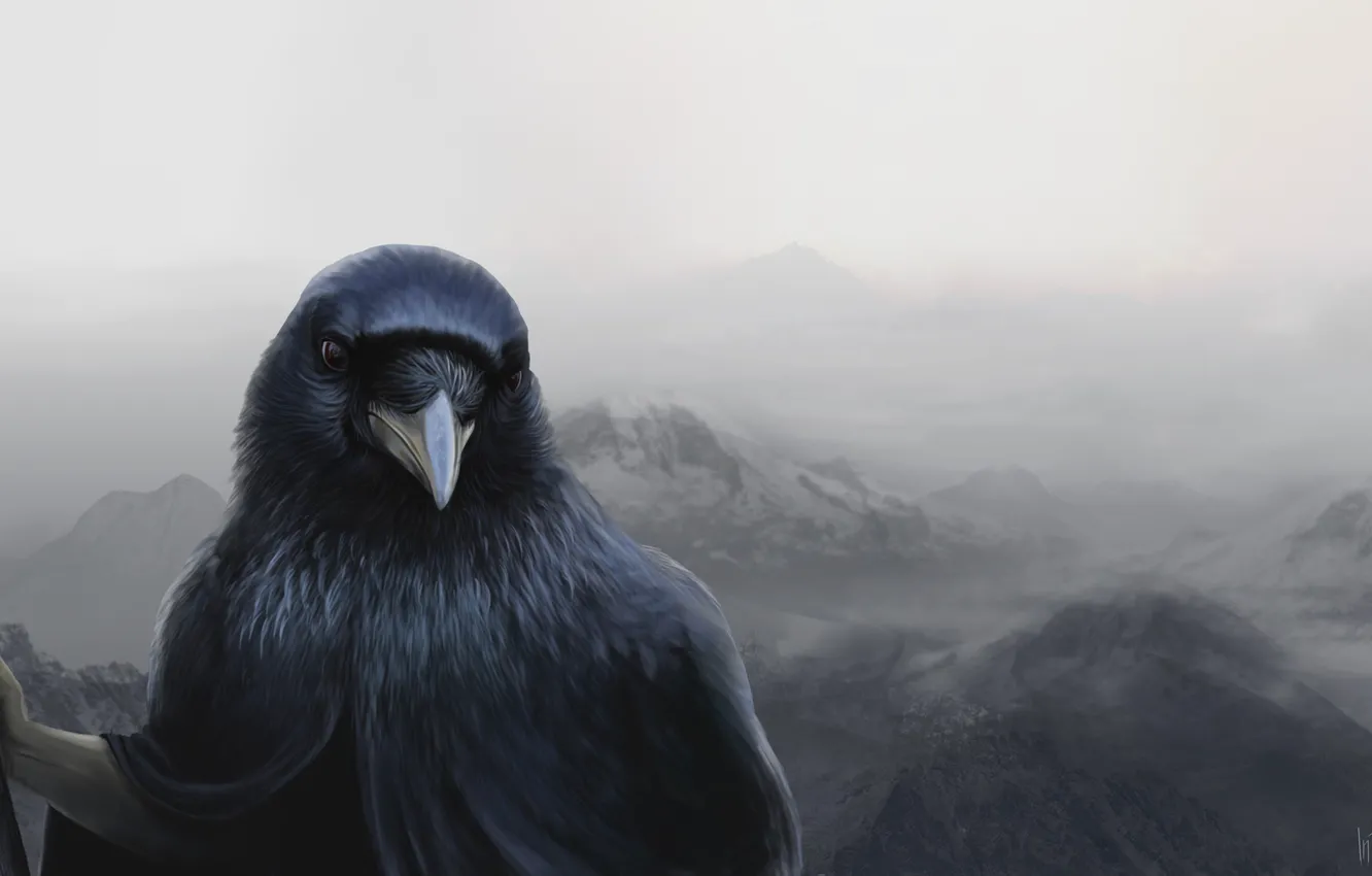 Photo wallpaper bird, figure, art, Raven, art, Illustration, Raven, Hikers
