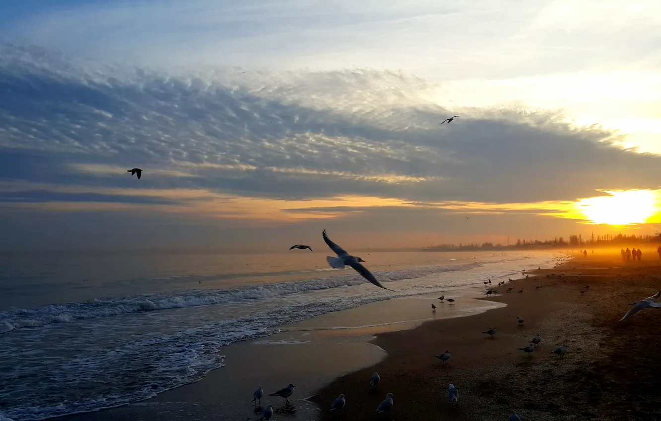 Photo wallpaper sand, wave, beach, the sky, the sun, clouds, landscape, sunset
