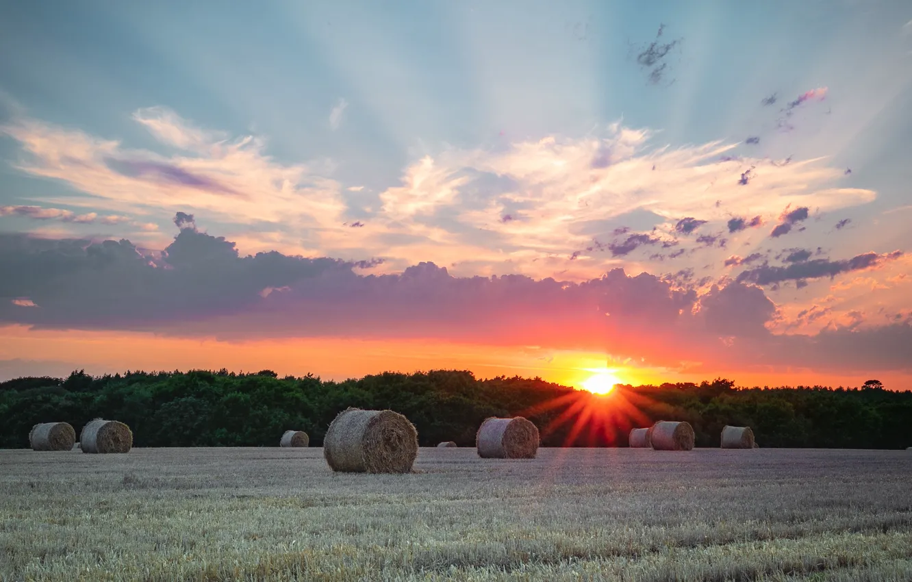 Photo wallpaper field, forest, summer, the sky, the sun, clouds, rays, light