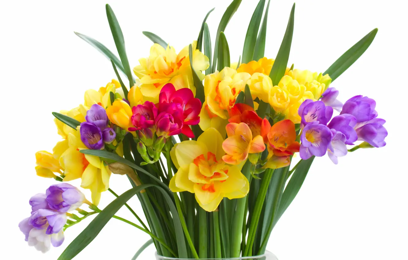 Photo wallpaper colorful, flowers, daffodils, spring, bouquet