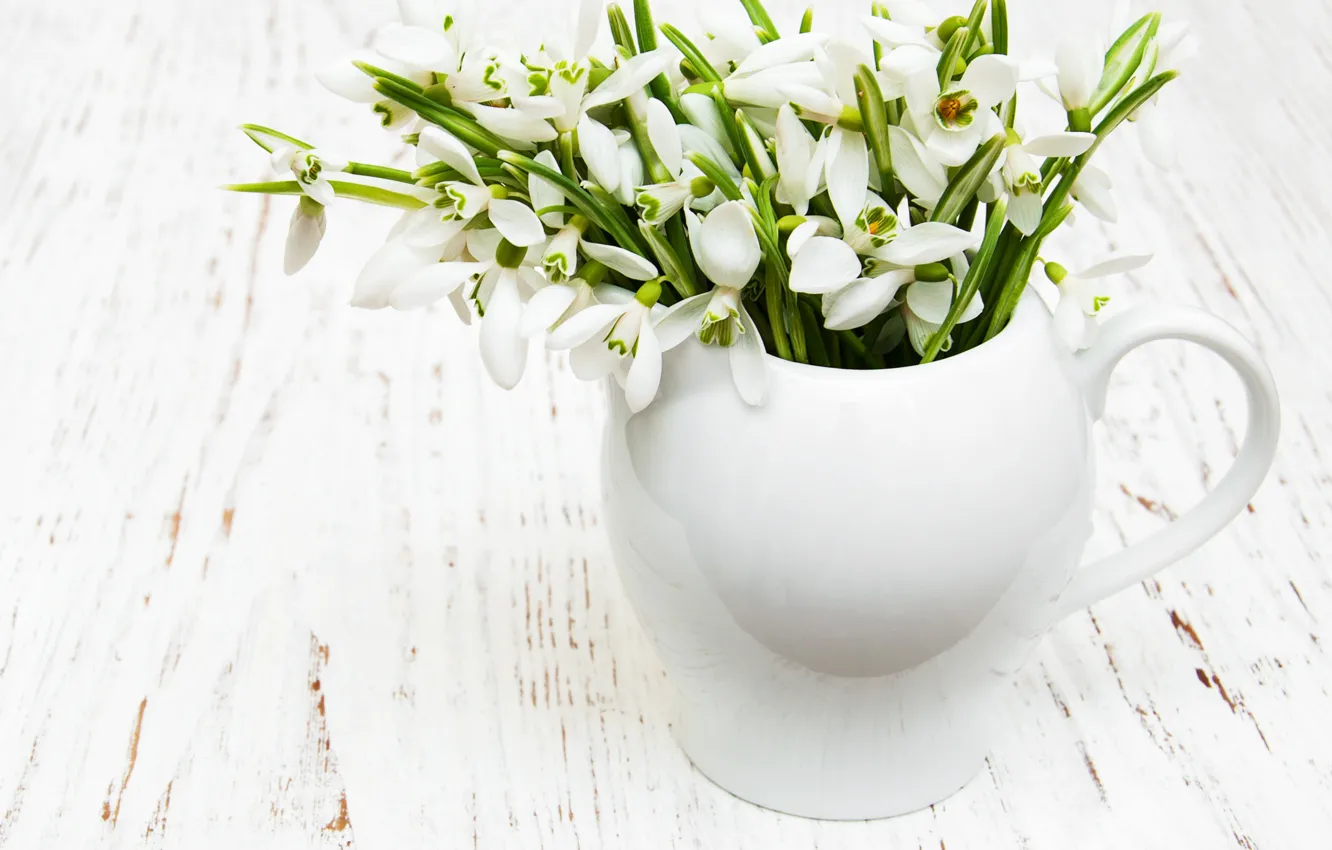 Photo wallpaper flowers, bouquet, snowdrops, white, white, flowers, spring, Snowdrops