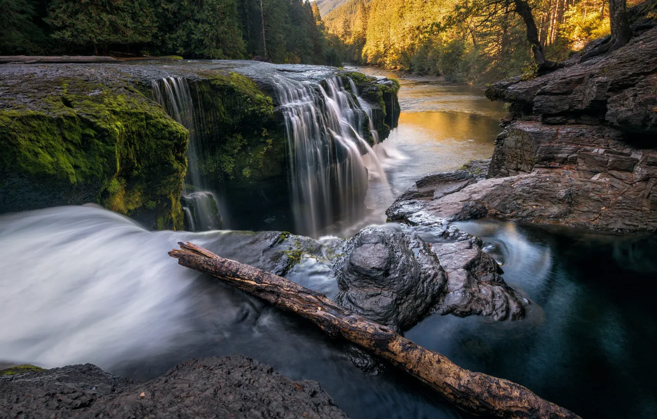 Photo wallpaper autumn, forest, river, stones, rocks, shore, for, waterfall