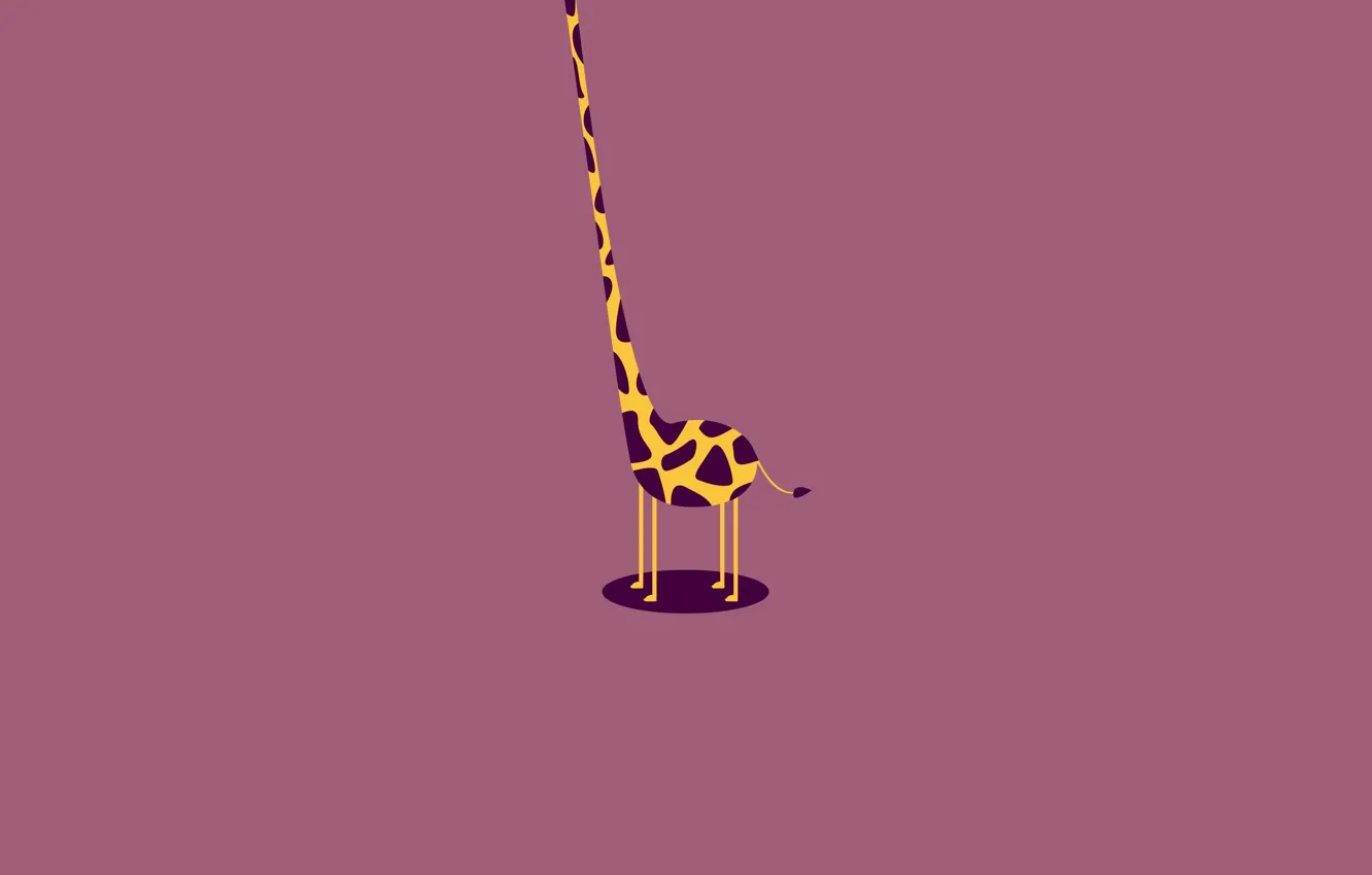Photo wallpaper torso, giraffe, neck, headless