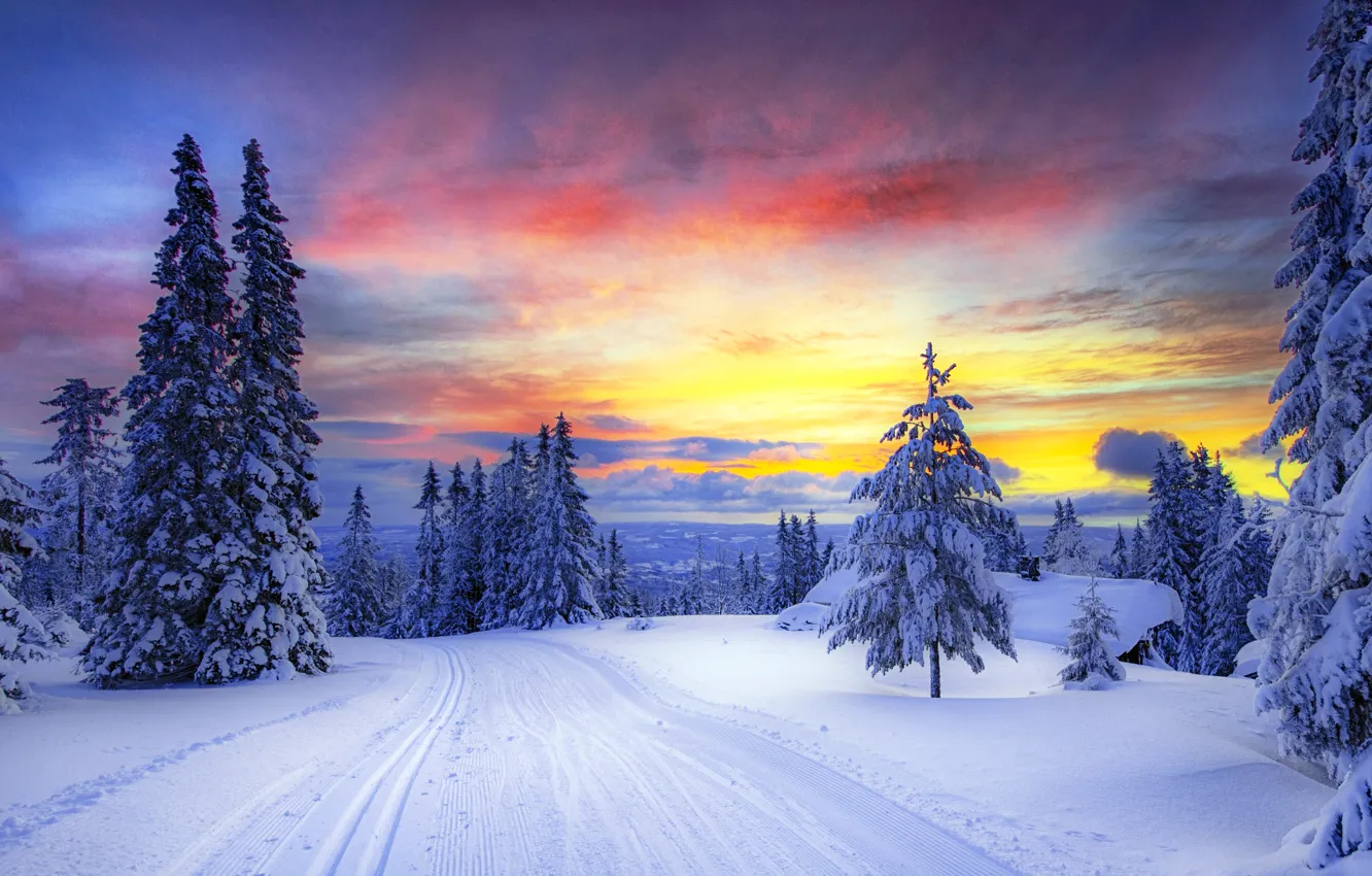 Photo wallpaper winter, road, forest, the sky, clouds, snow, trees, sunset