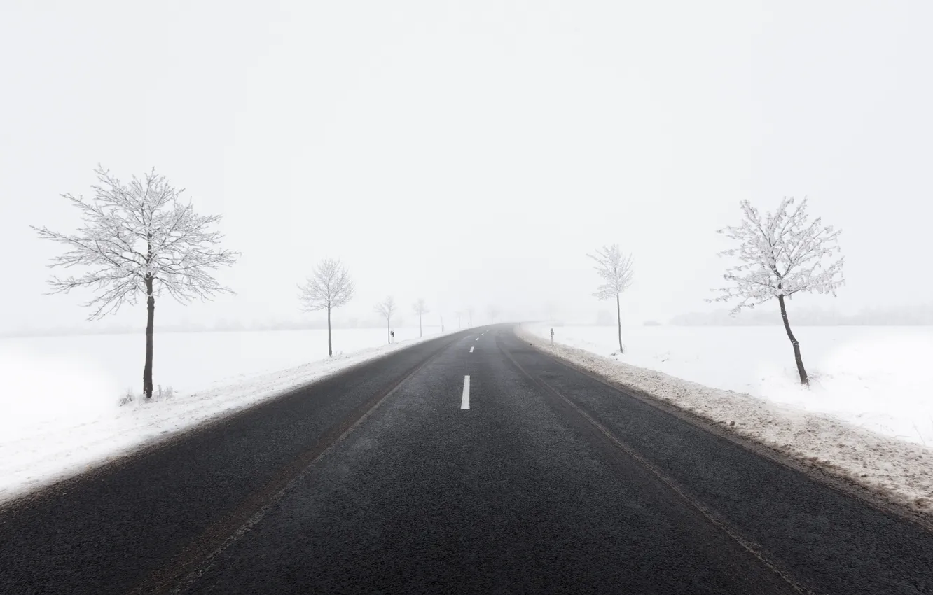 Photo wallpaper winter, road, snow, trees, fog