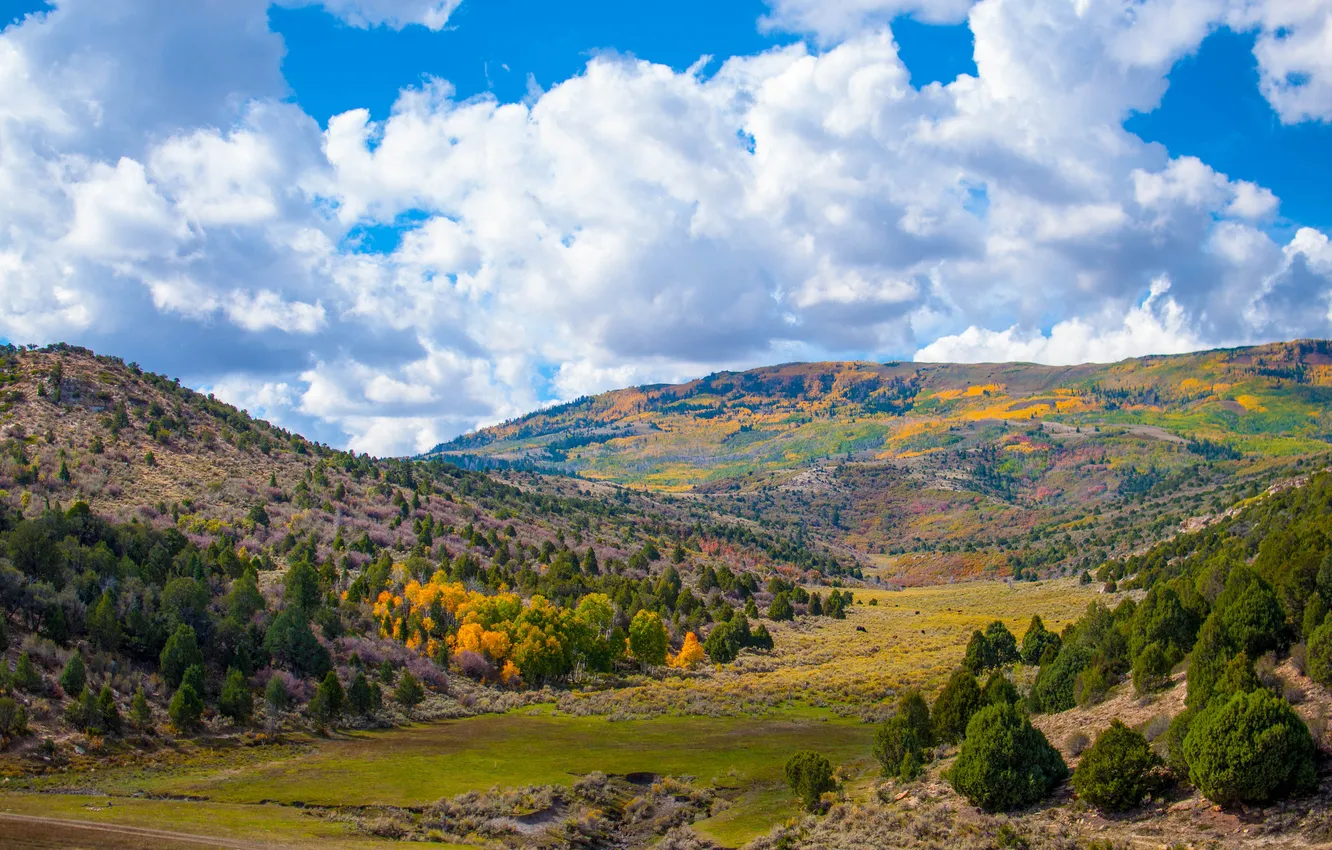 Photo wallpaper autumn, the sky, grass, clouds, trees, mountains, valley
